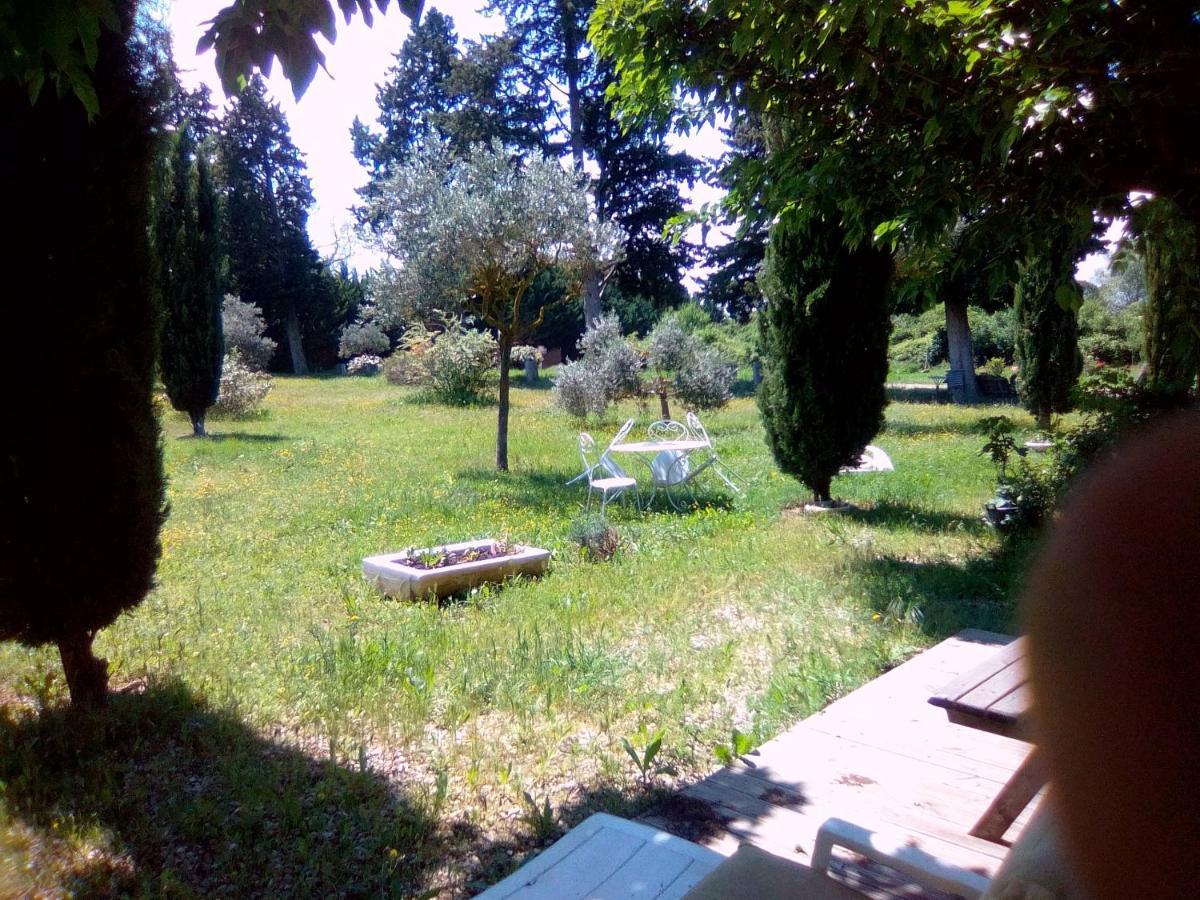 Le Domaine De Belle Bed & Breakfast LʼIsle-sur-la-Sorgue Eksteriør bilde